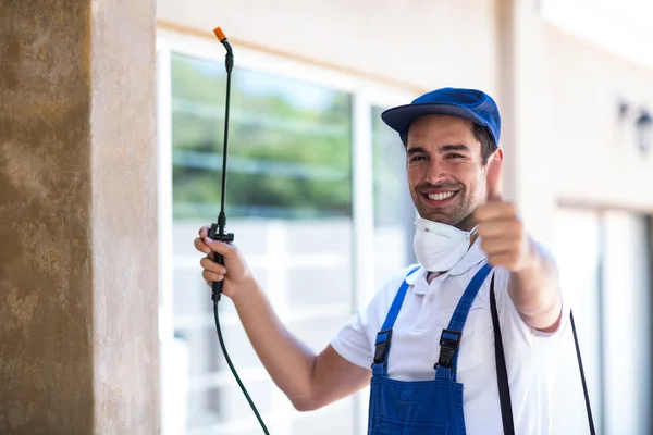 La Mirada Wasp Removal